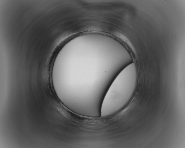 X0000088441027200705220910