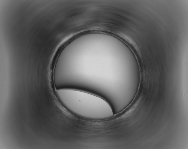 X0000088441029200705220910