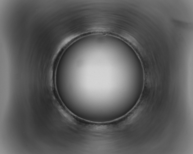 X0000088441030200705220910