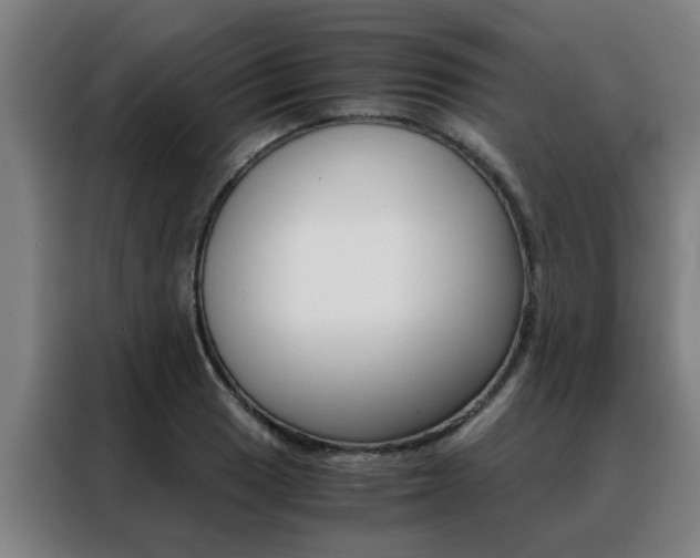 X0000088441033200705220910
