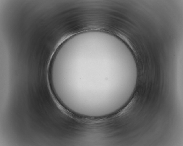 X0000088441034200705220910