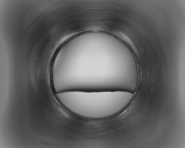 X0000088441035200705220910