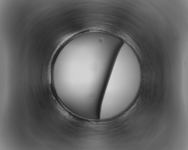X0000088441036200705220910