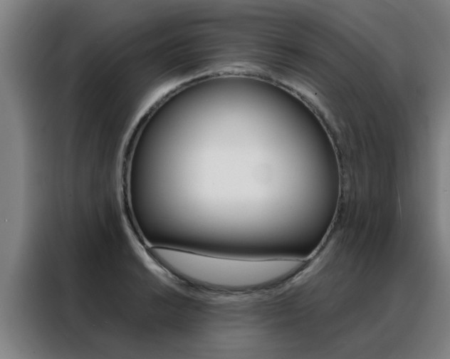 X0000088441038200705220910
