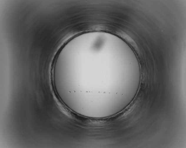 X0000088441039200705220910