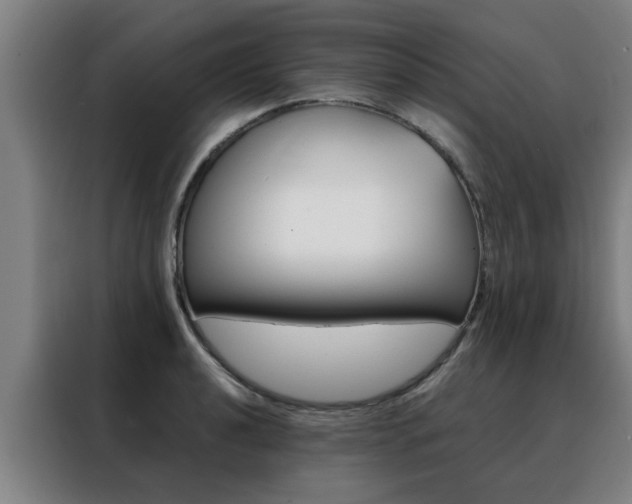 X0000088441040200705220910