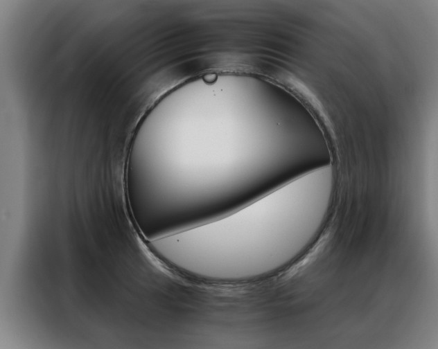 X0000088441041200705220910