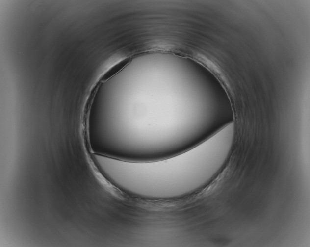 X0000088441042200705220910