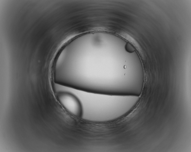 X0000088441043200705220910