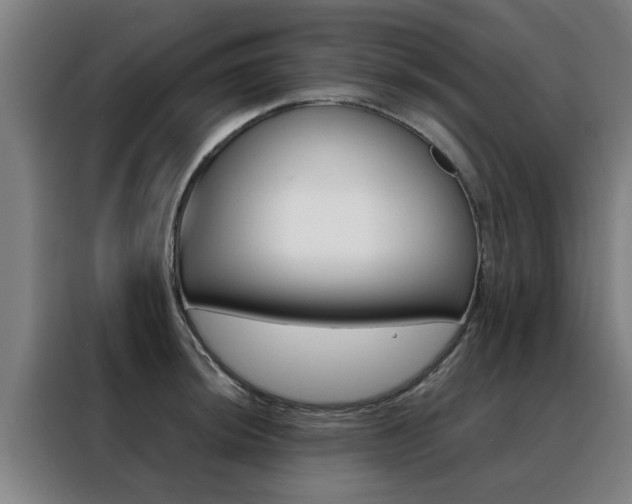 X0000088441044200705220910