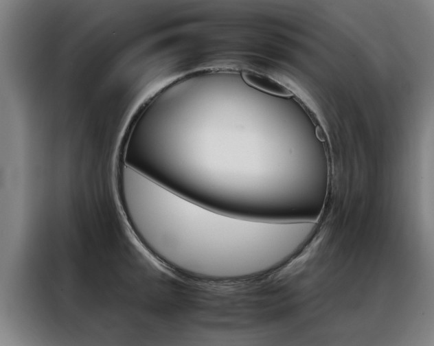 X0000088441045200705220910