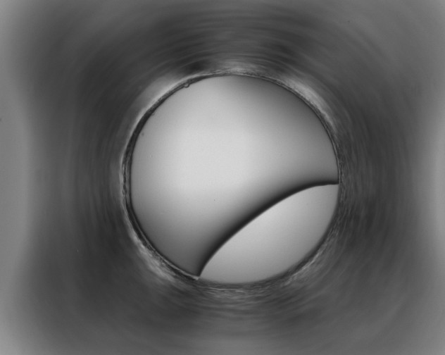 X0000088441047200705220910