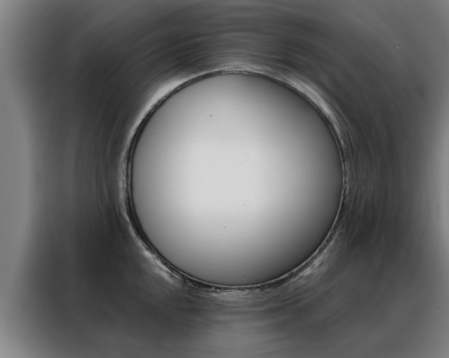 X0000088441048200705220910