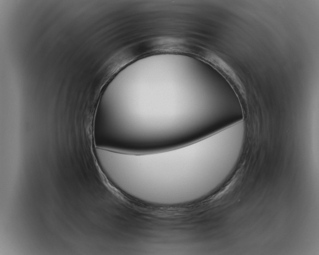 X0000088441049200705220910