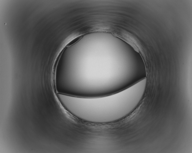 X0000088441050200705220911