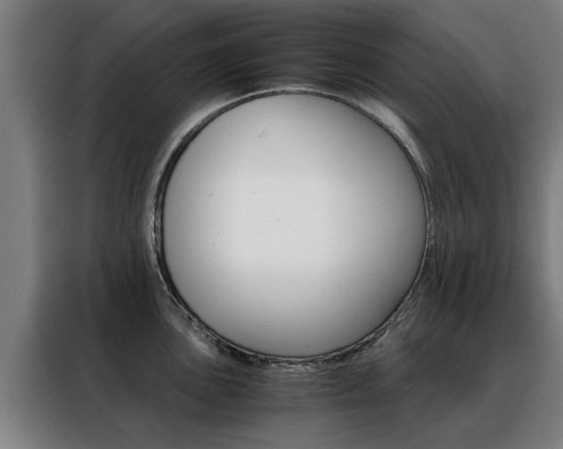 X0000088441051200705220911
