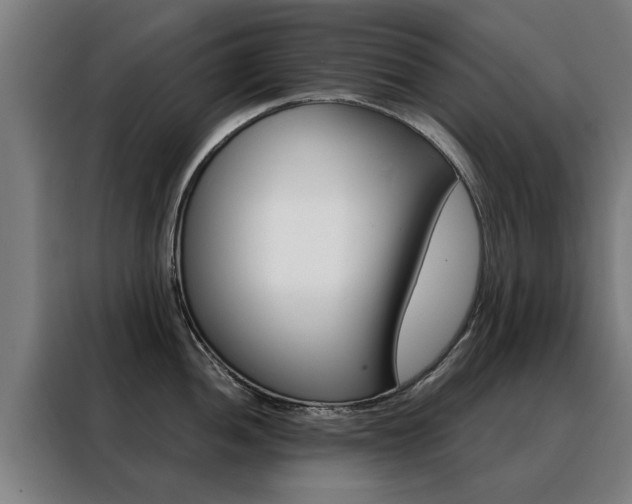 X0000088441052200705220911