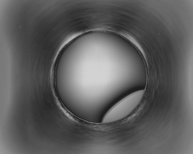 X0000088441053200705220911