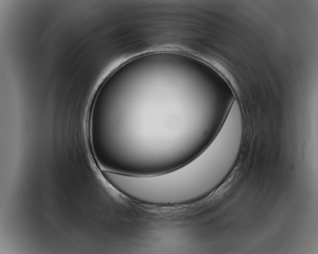 X0000088441054200705220911