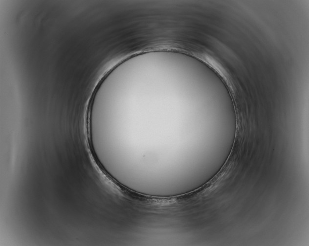 X0000088441055200705220911