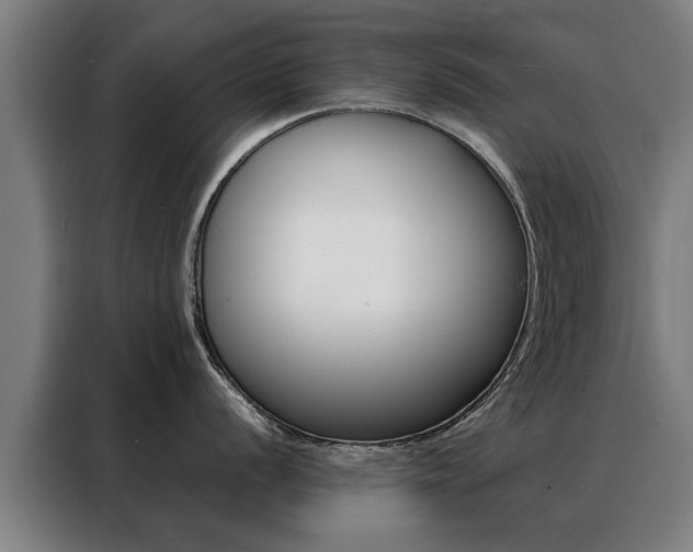 X0000088441056200705220911