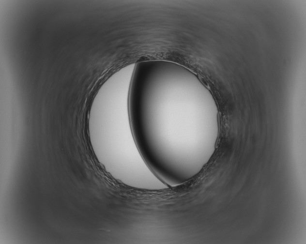 X0000088441057200705220910