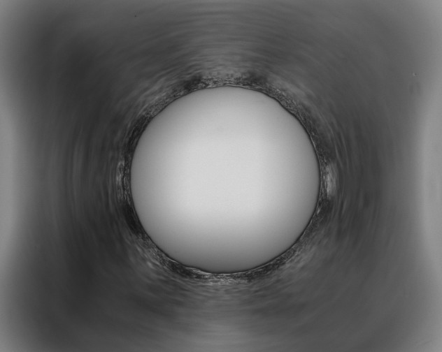 X0000088441059200705220910