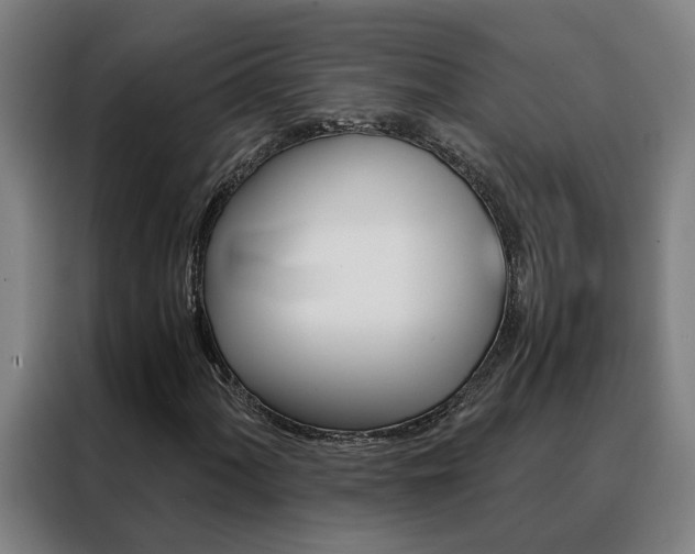 X0000088441060200705220910