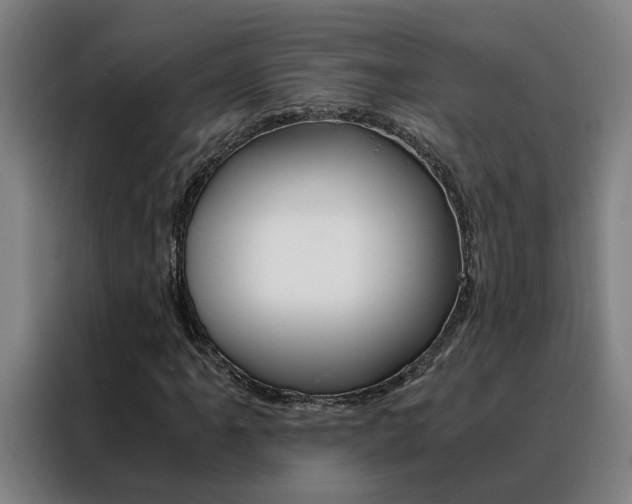 X0000088441061200705220910