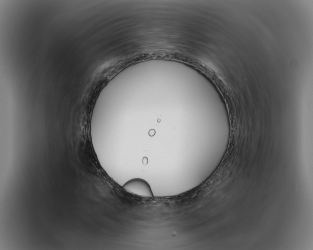 X0000088441063200705220910