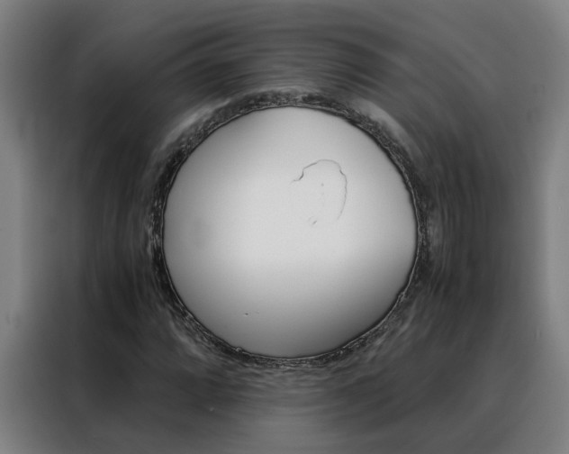 X0000088441064200705220910