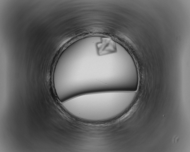 X0000088441065200705220910