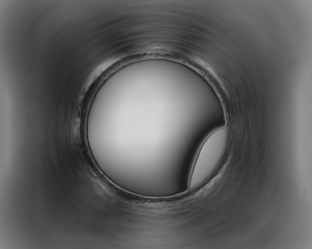 X0000088441066200705220910
