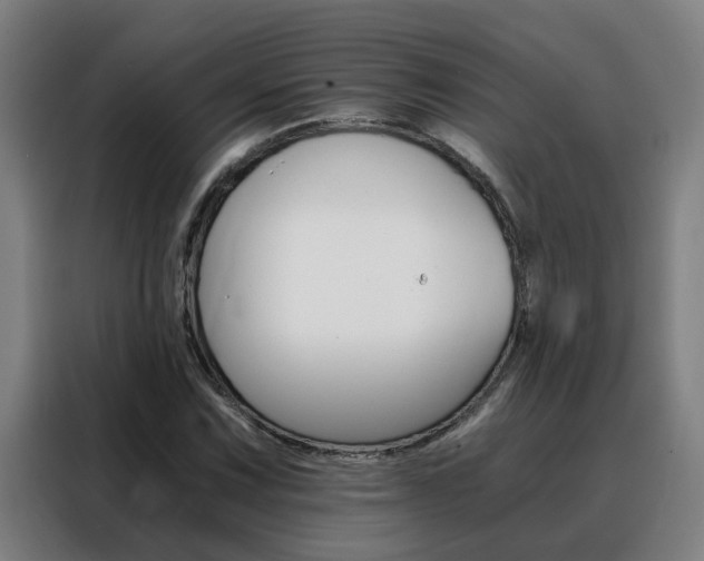X0000088441067200705220910