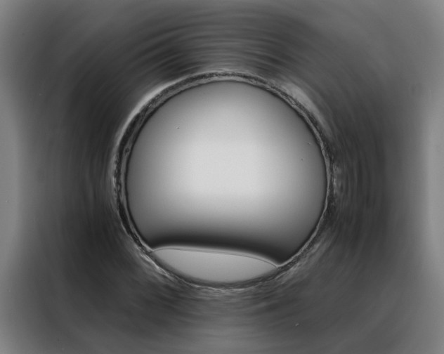 X0000088441068200705220910