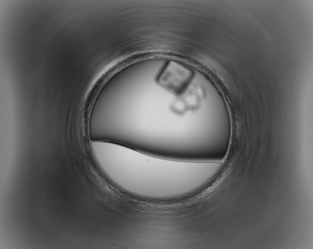 X0000088441069200705220910