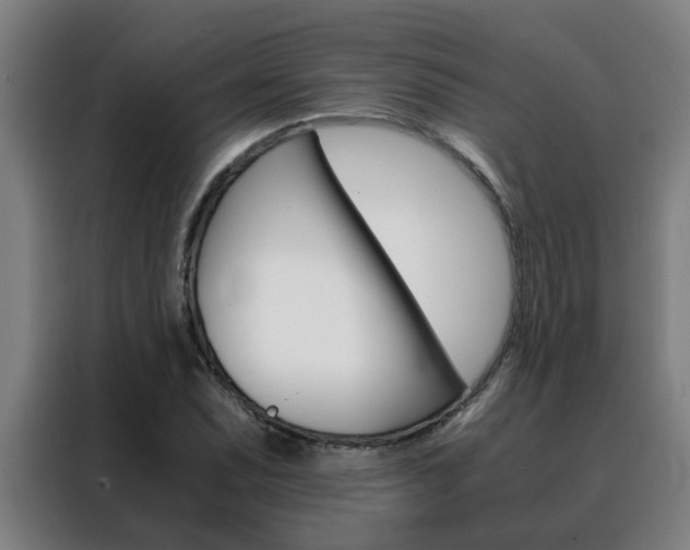 X0000088441071200705220910