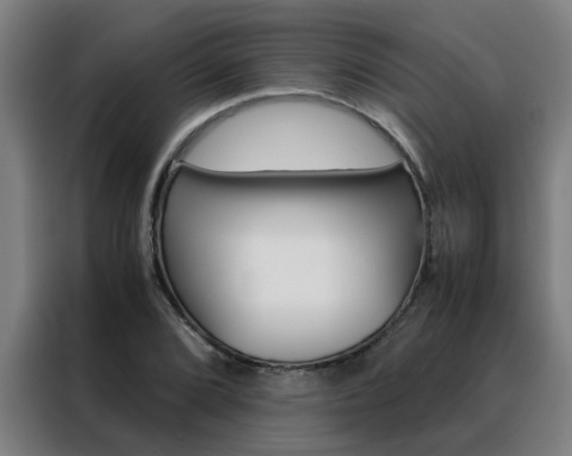 X0000088441072200705220910