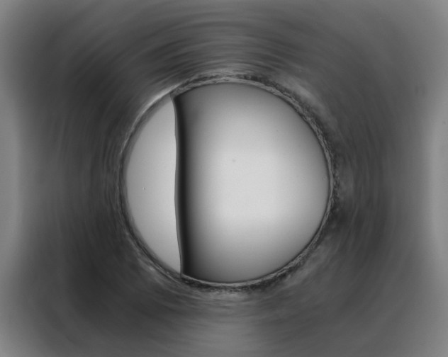 X0000088441073200705220910