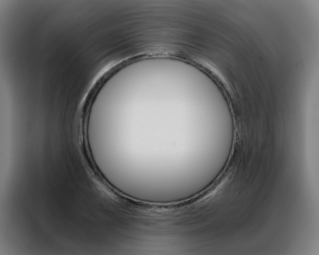 X0000088441075200705220910