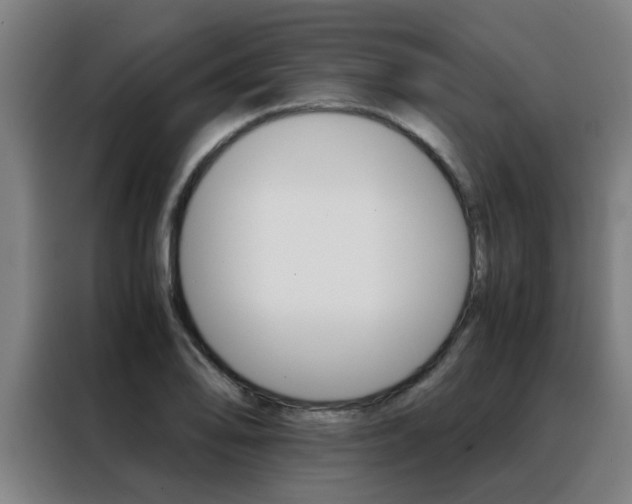 X0000088441078200705220910