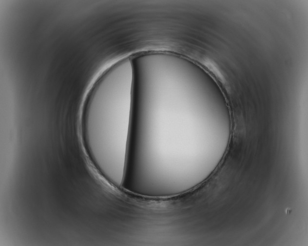 X0000088441080200705220910
