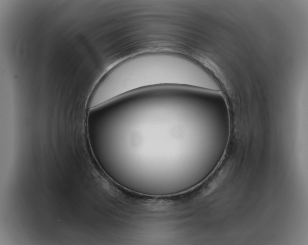 X0000088441081200705220910