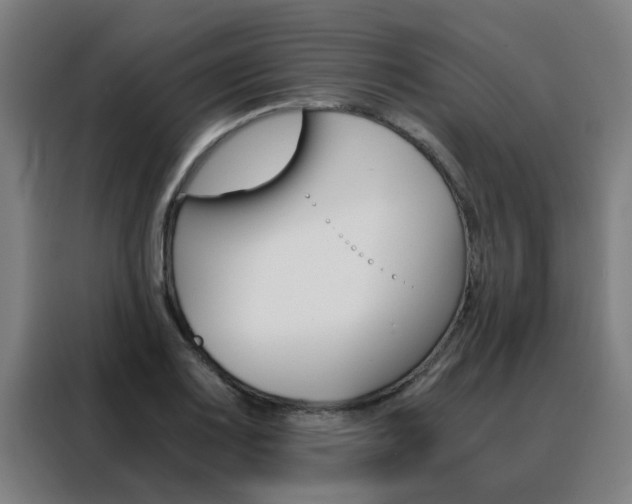 X0000088441083200705220910