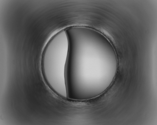X0000088441085200705220910