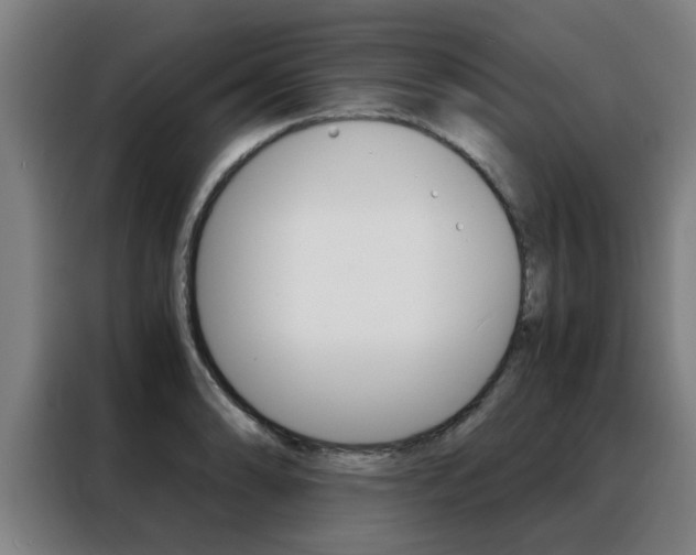 X0000088441086200705220910