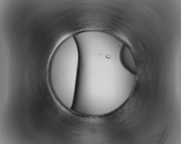 X0000088441087200705220910