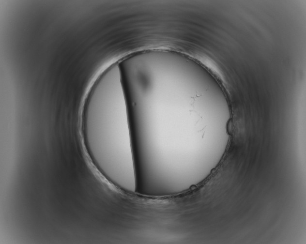 X0000088441088200705220910
