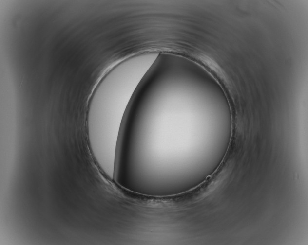 X0000088441089200705220910
