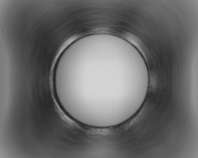 X0000088441090200705220910